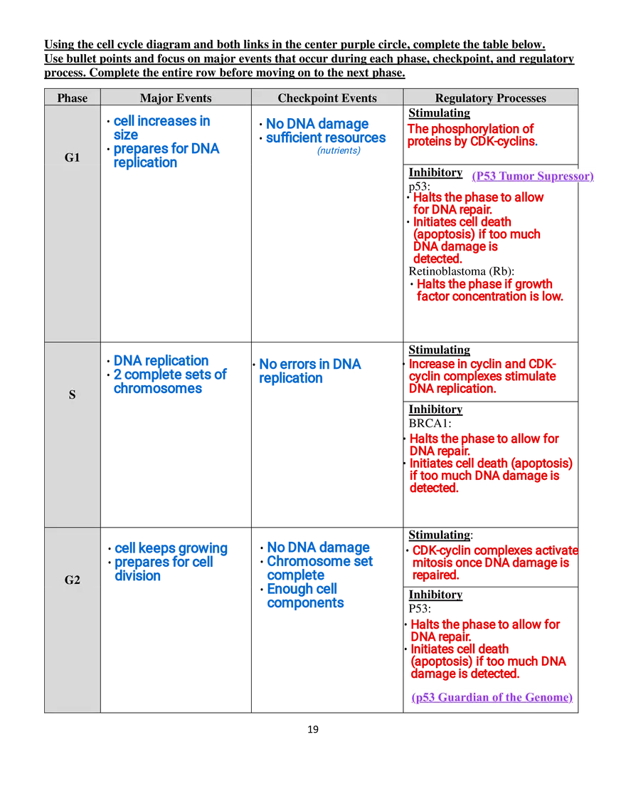 Part III - The Eukaryotic Cell Cycle and Cancer - Page 6