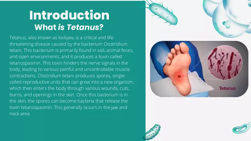 Tetanus Disease - Project Presentation - Page 2