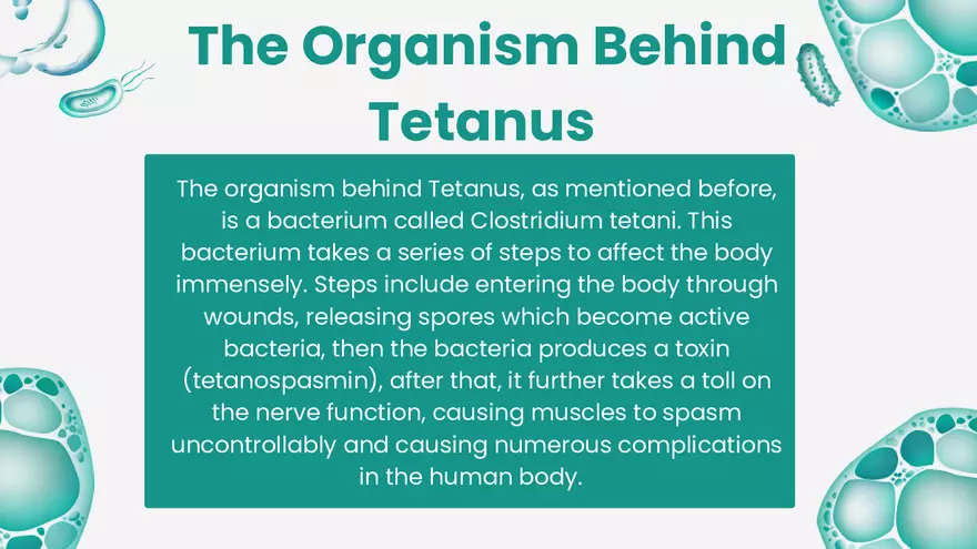 Tetanus Disease - Project Presentation - Page 4