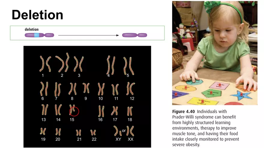 Alterations in Chromosome Number or Structure - Page 8