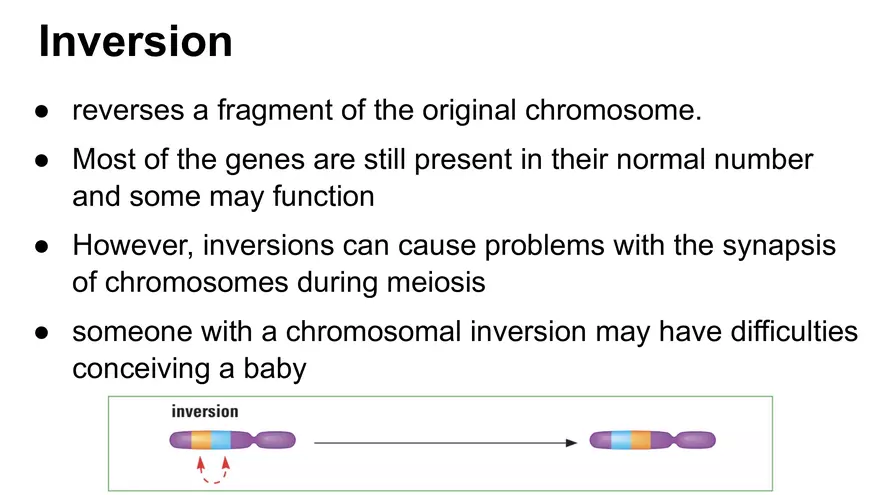 Alterations in Chromosome Number or Structure - Page 10