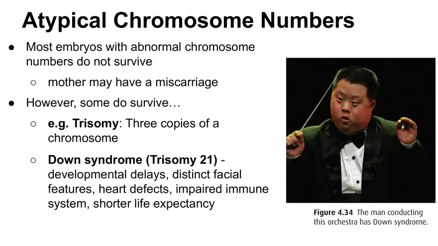 Alterations in Chromosome Number or Structure - Page 20