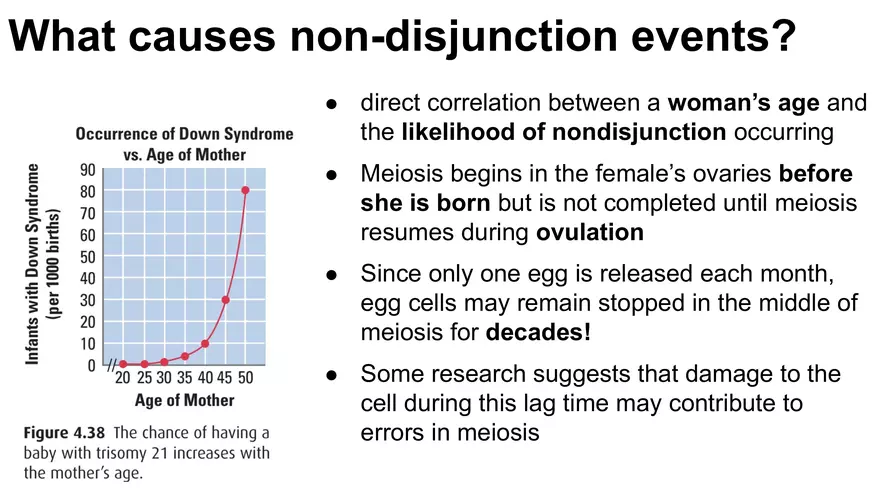 Alterations in Chromosome Number or Structure - Page 24