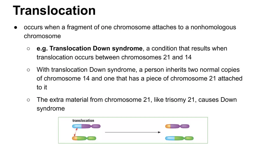 Alterations in Chromosome Number or Structure - Page 5
