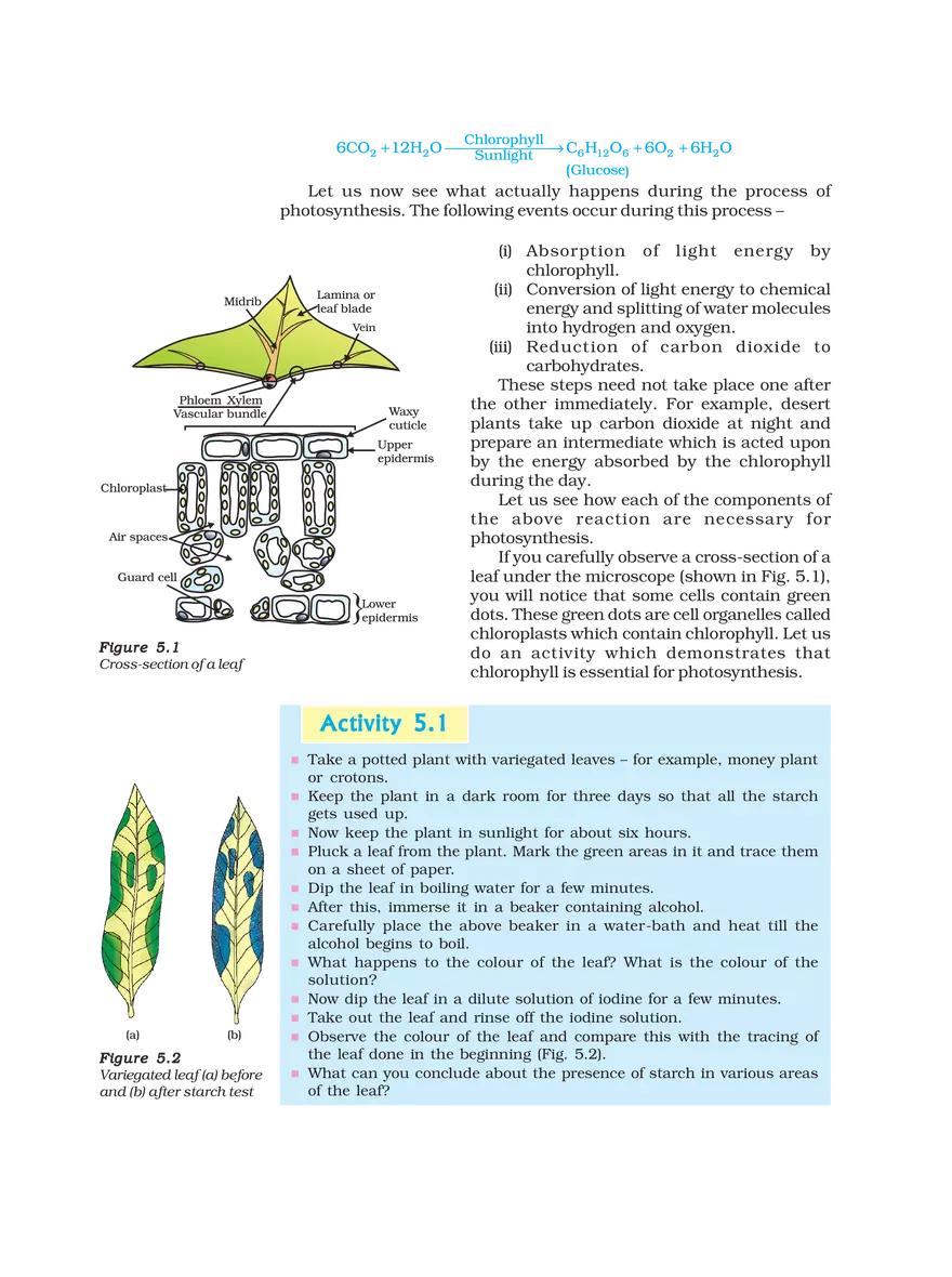 Signs and Characteristics of Living Organisms - Page 4