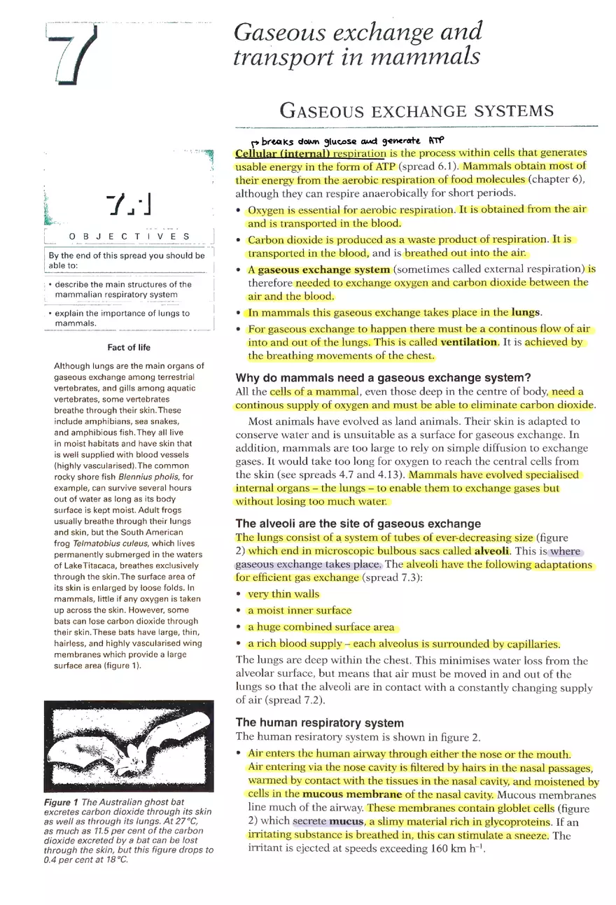 Gaseous Exchange Systems - Page 1