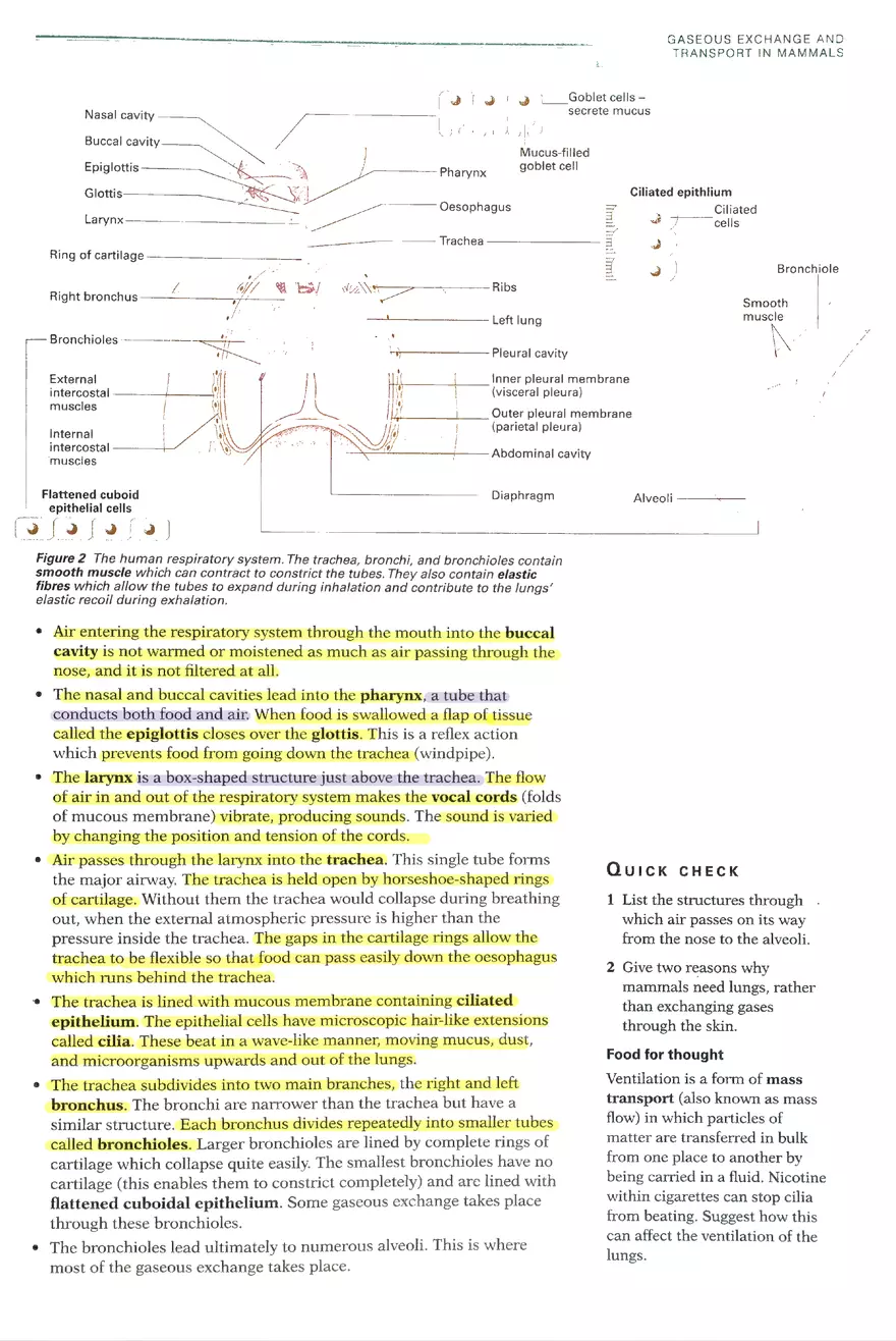 Gaseous Exchange Systems - Page 2
