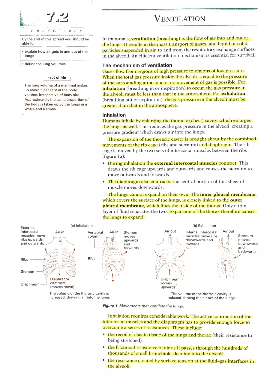 Gaseous Exchange Systems - Page 3