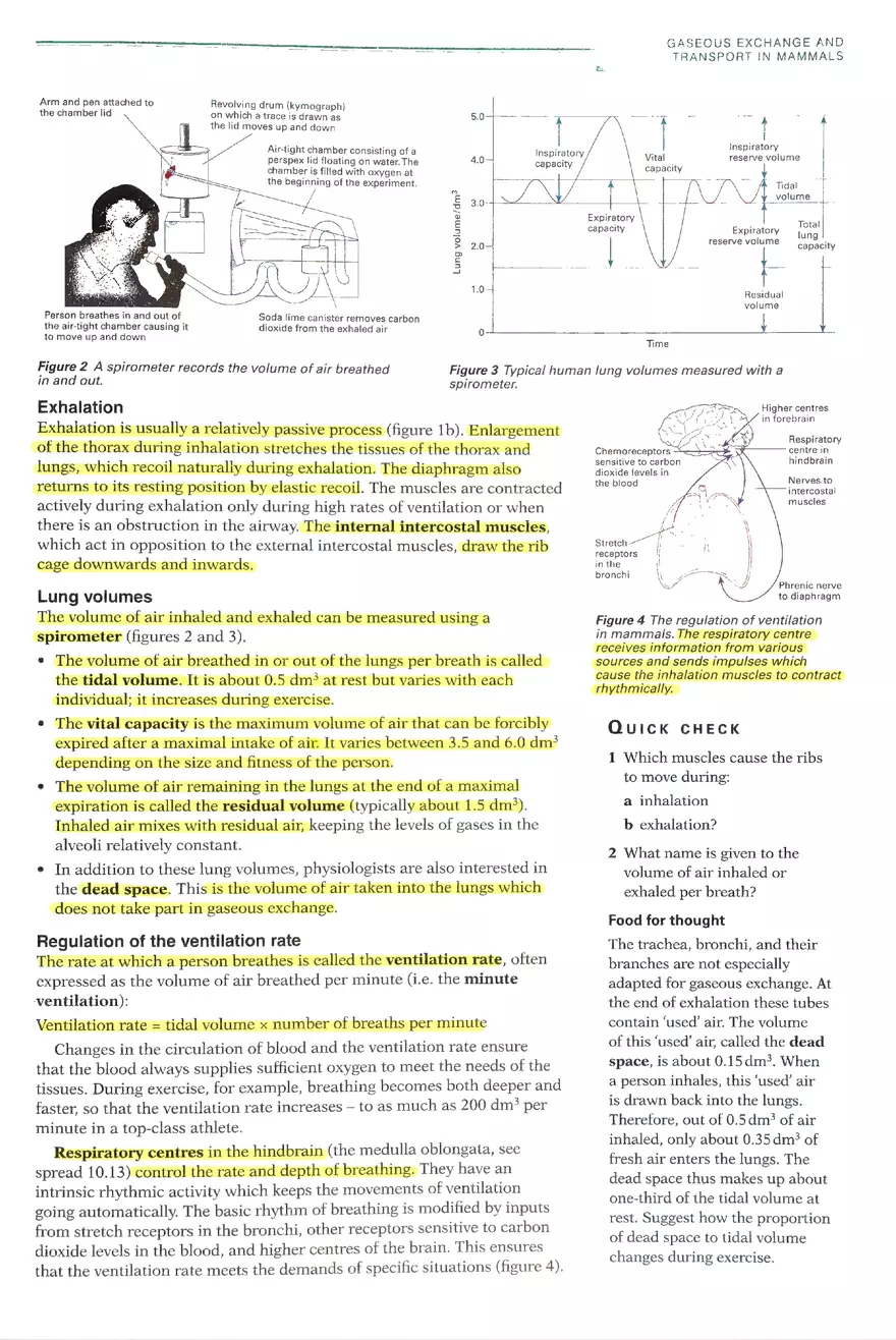 Gaseous Exchange Systems - Page 4