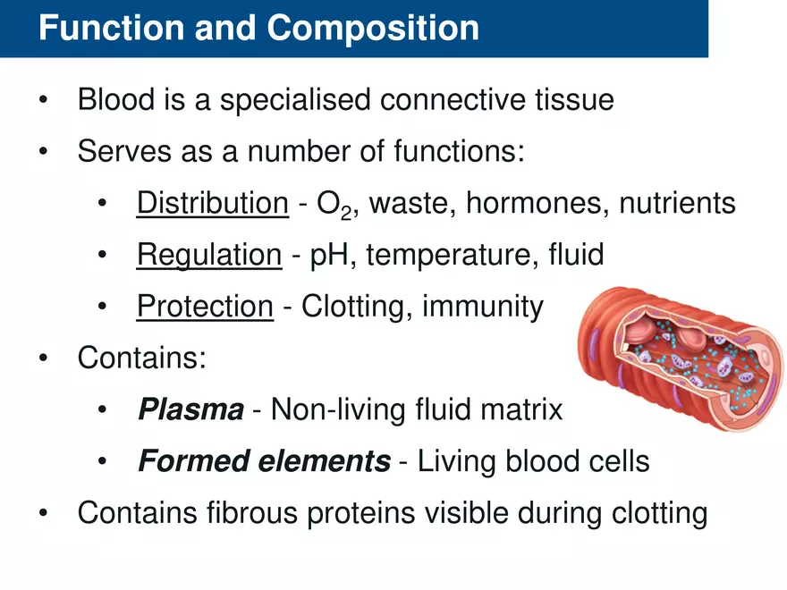 Composition Blood Lecture - Page 2