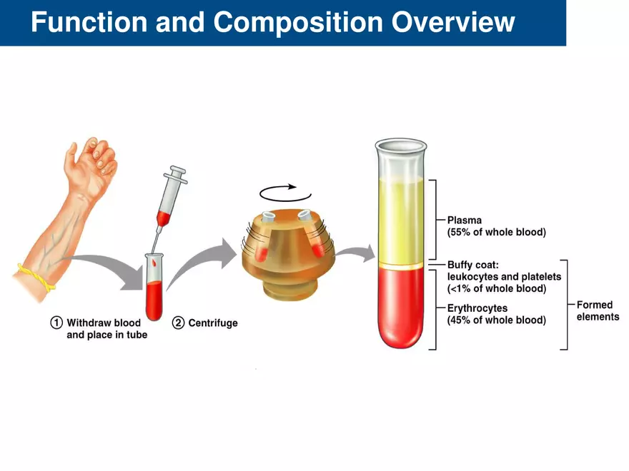 Composition Blood Lecture - Page 3
