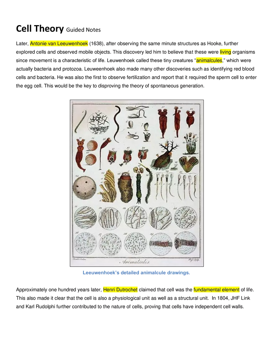 Cell Theory Guided Notes - Page 2