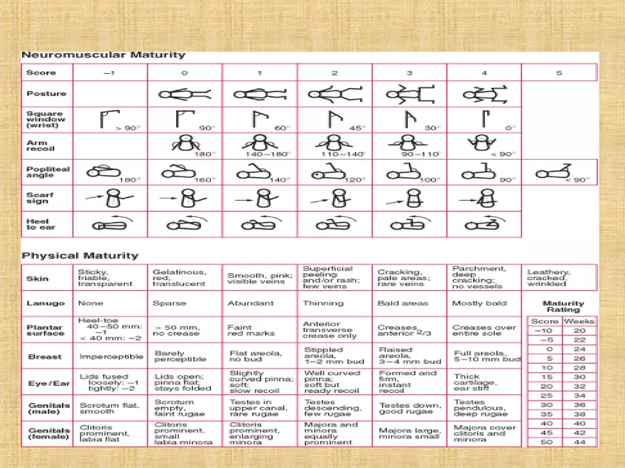 Profile of the Newborn Lecture Part 1 - Page 9
