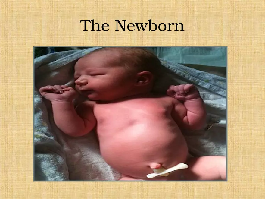 Profile of the Newborn Lecture Part 1 - Page 1