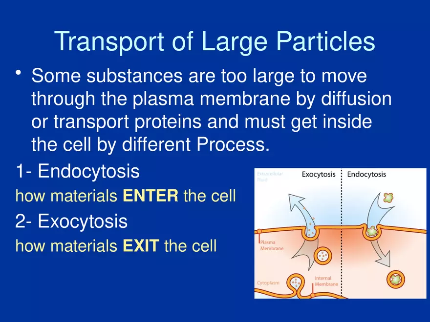 Cellular Transport Lecture (Osmosis) Part 2 - Page 8