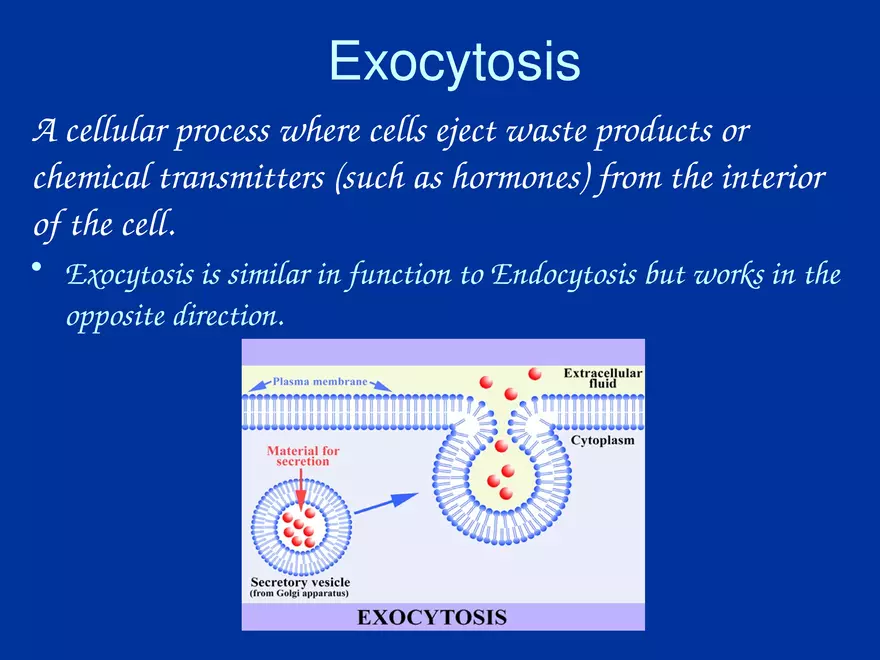 Cellular Transport Lecture (Osmosis) Part 2 - Page 10