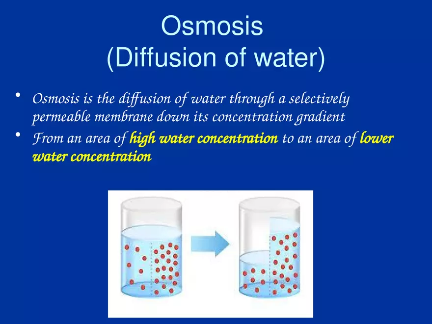 Cellular Transport Lecture (Osmosis) Part 2 - Page 1