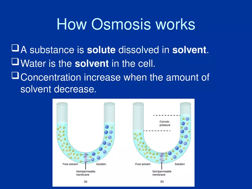 Cellular Transport Lecture (Osmosis) Part 2 - Page 2