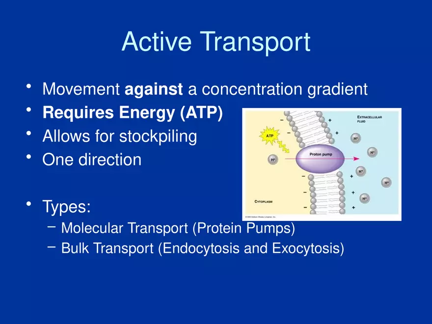 Cellular Transport Lecture (Osmosis) Part 2 - Page 4