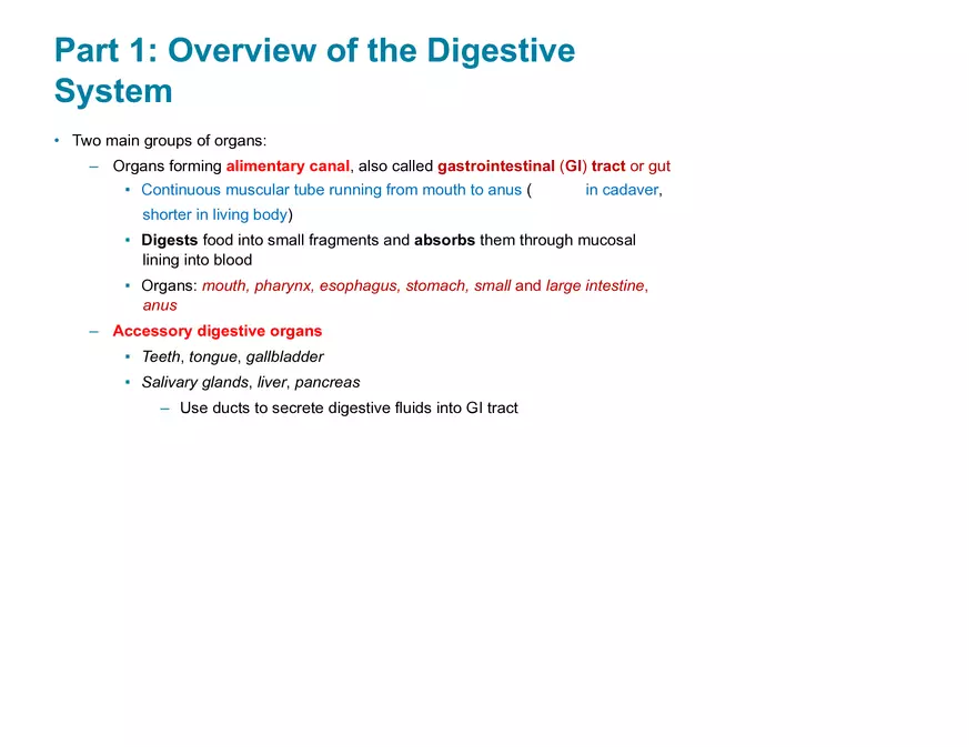 Overview of the Digestive System - Page 1
