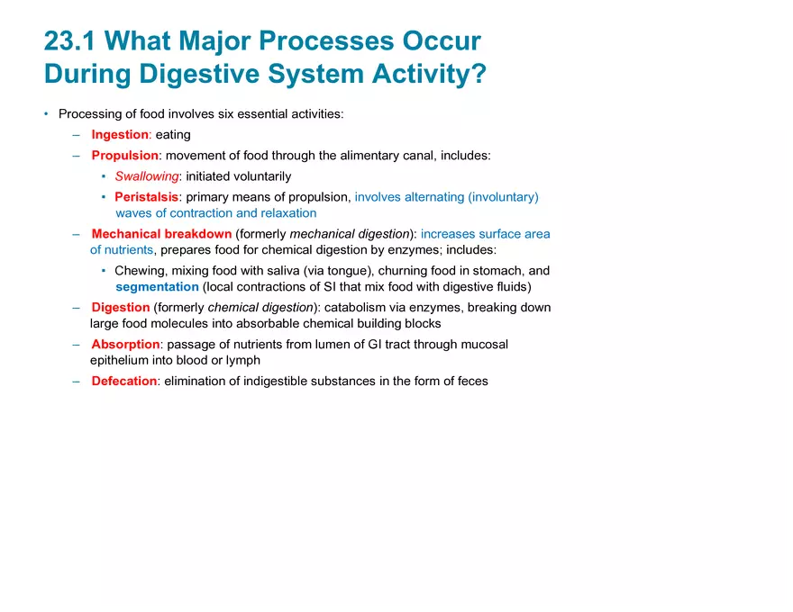 Overview of the Digestive System - Page 3