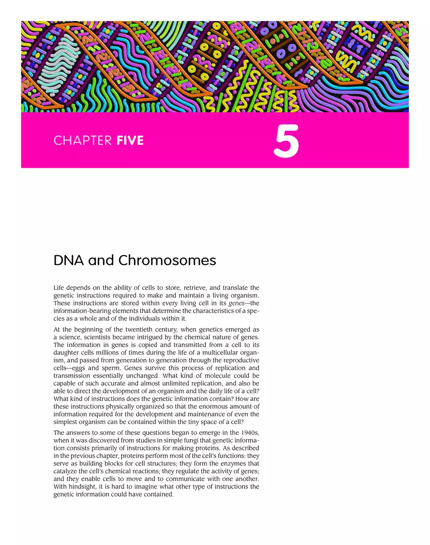 DNA and Chromosomes - Page 1