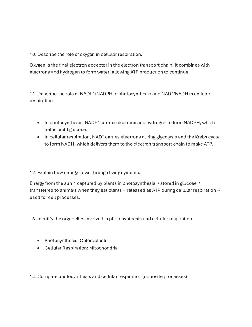 What is ATP and How is it Used by Cells - Page 3