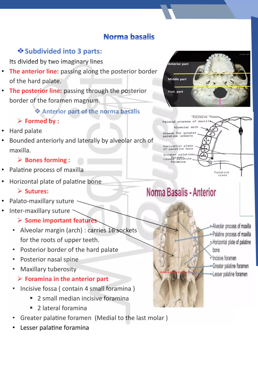 Norma Basalis - Page 1