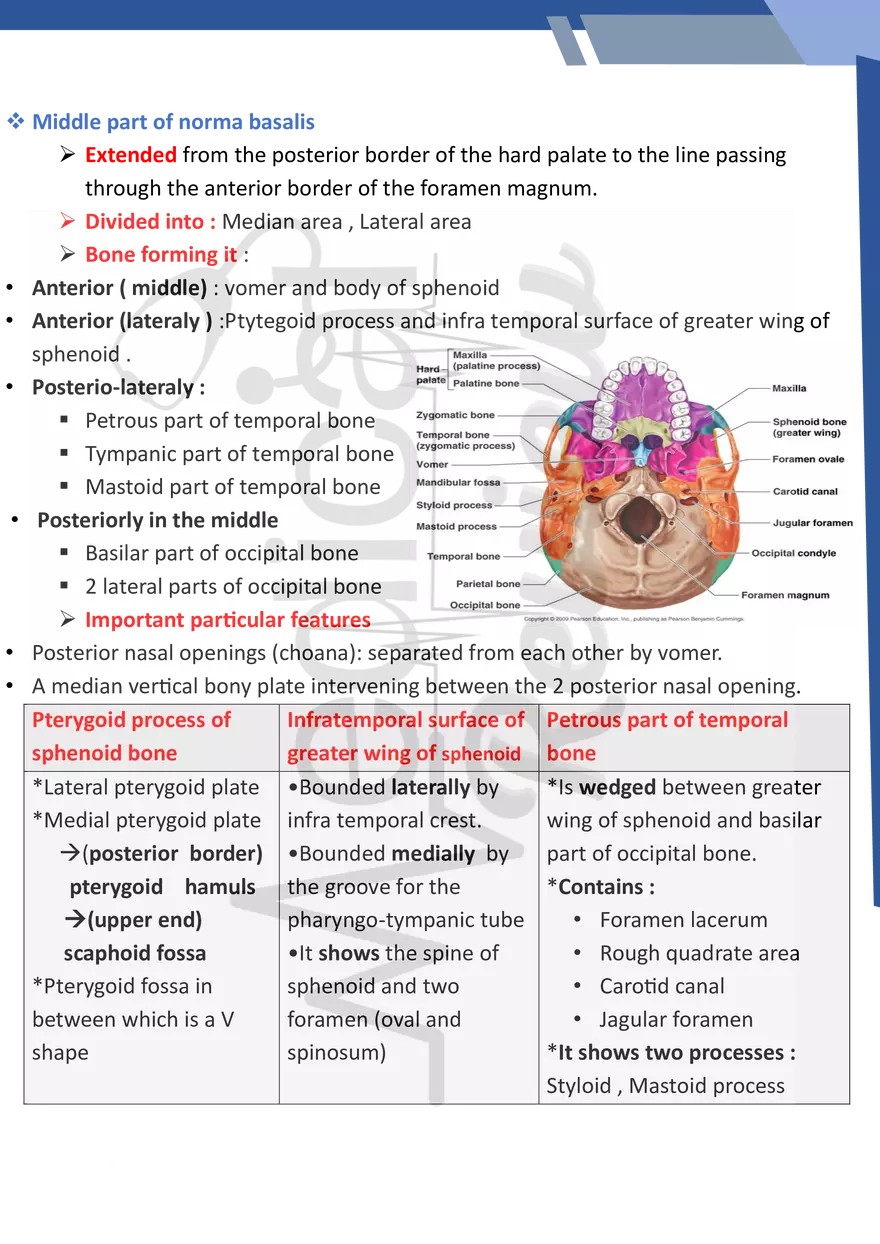 Norma Basalis - Page 2
