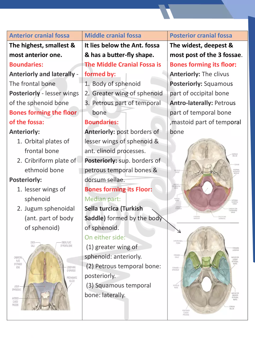 Norma Basalis - Page 4