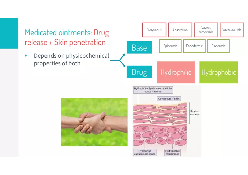 Ointments Lecture 3 - Page 7
