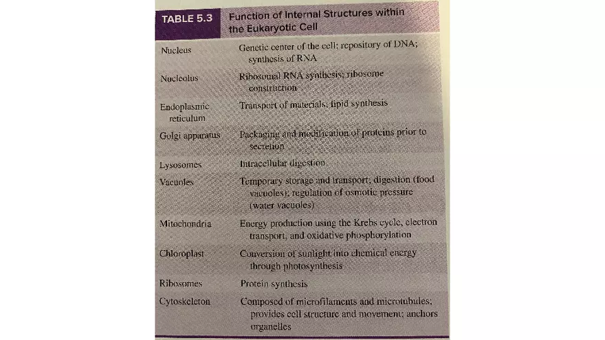 Classification of Microorganisms Lecture 4 - Page 7