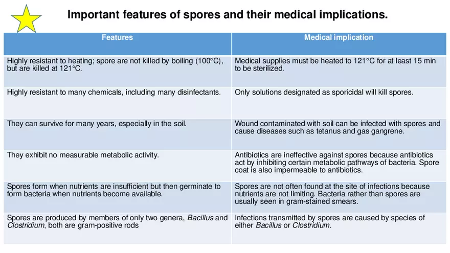 Classification of Microorganisms Lecture 4 - Page 16