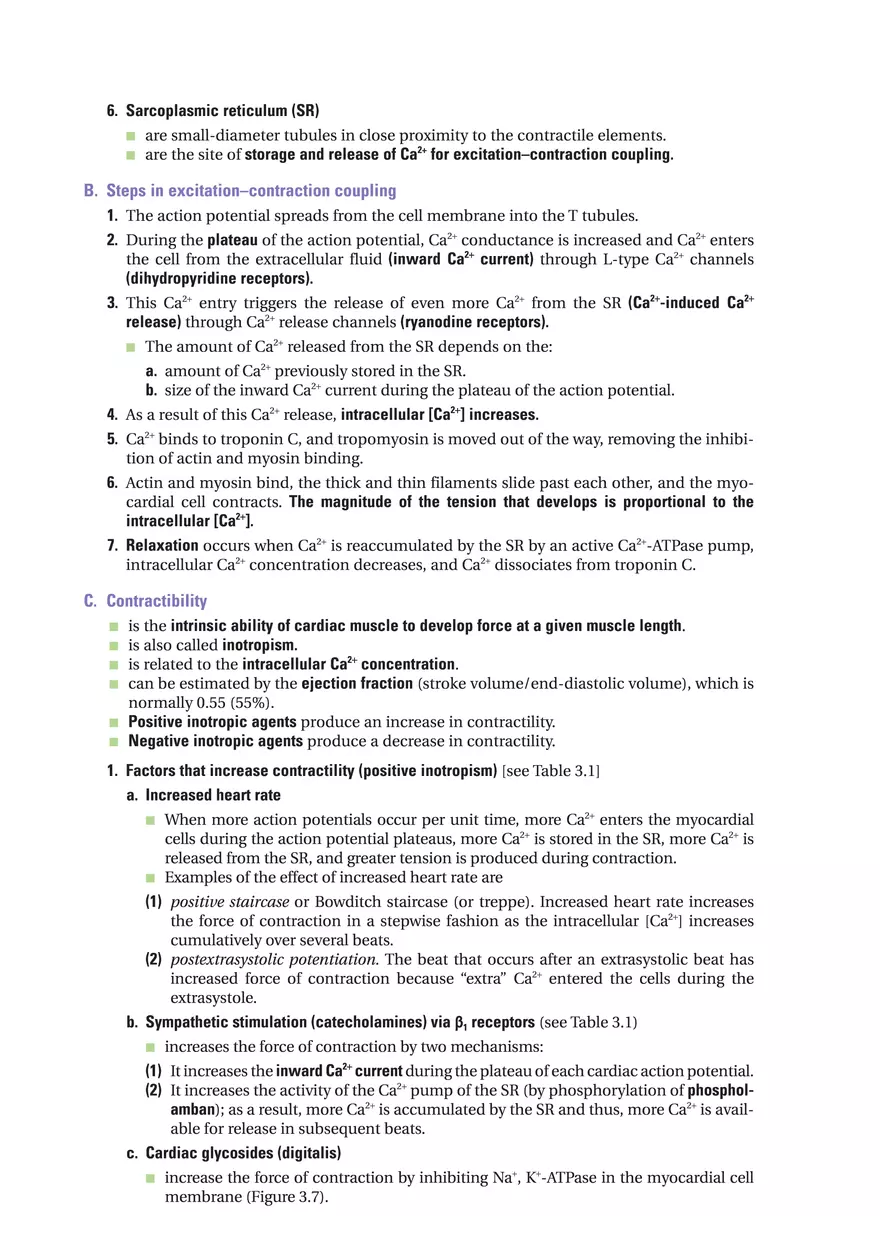 Sarcoplasmic Reticulum - Page 1