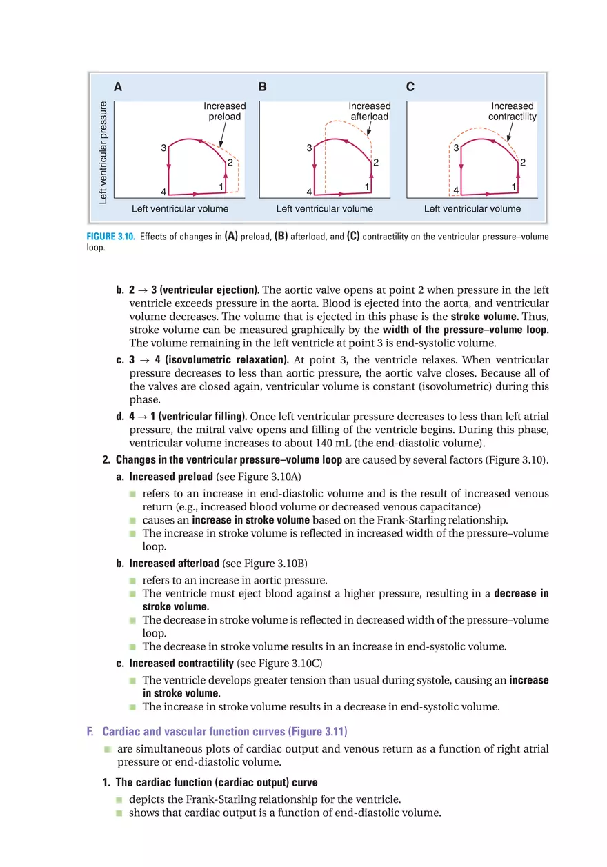 Sarcoplasmic Reticulum - Page 4
