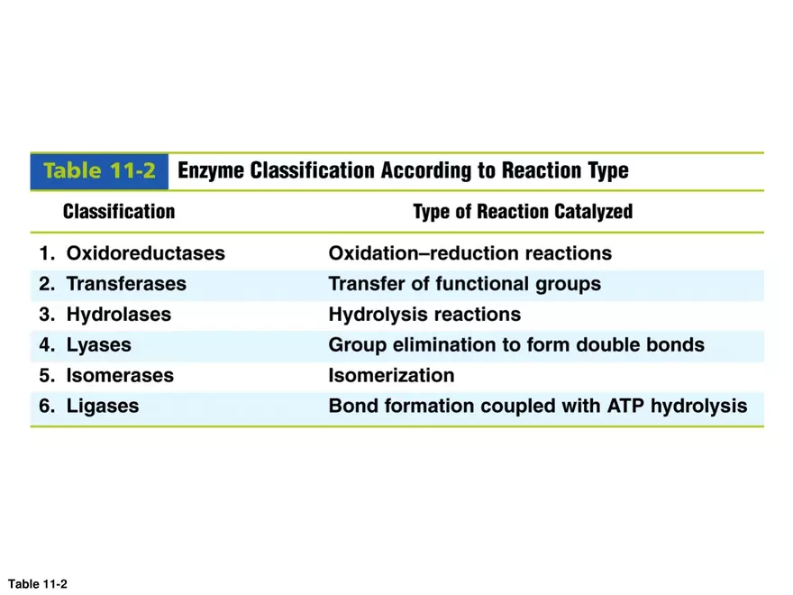 Principles of Biochemistry - Enzymes Lecture 1 - Page 6