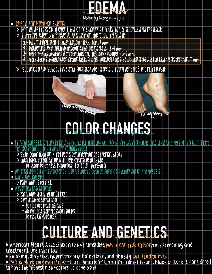 Exam 1 Study Guide HA 2 - Page 7