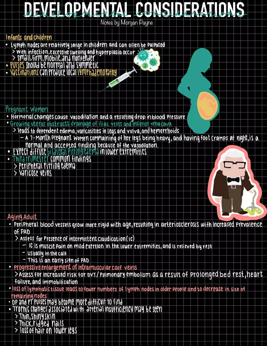 Exam 1 Study Guide HA 2 - Page 8