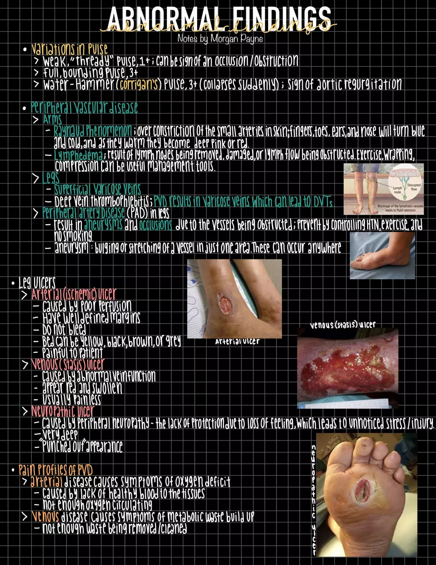 Exam 1 Study Guide HA 2 - Page 9