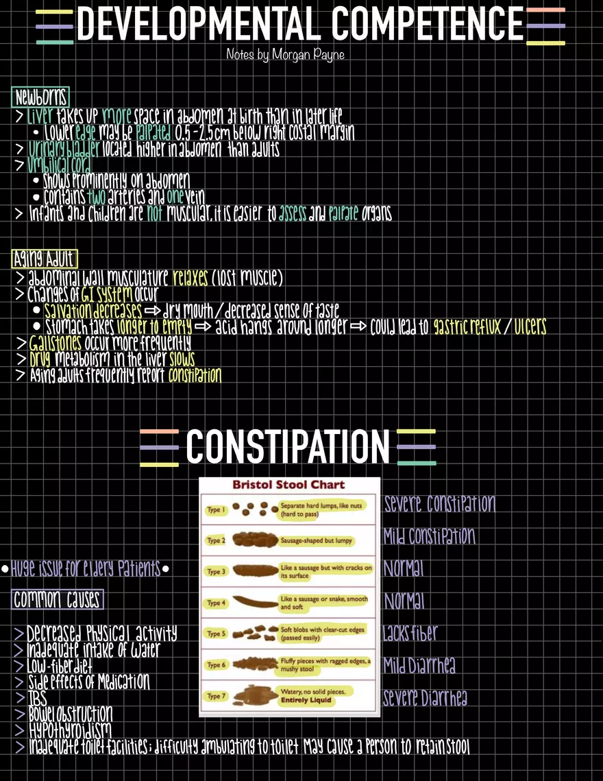 Exam 1 Study Guide HA 2 - Page 11