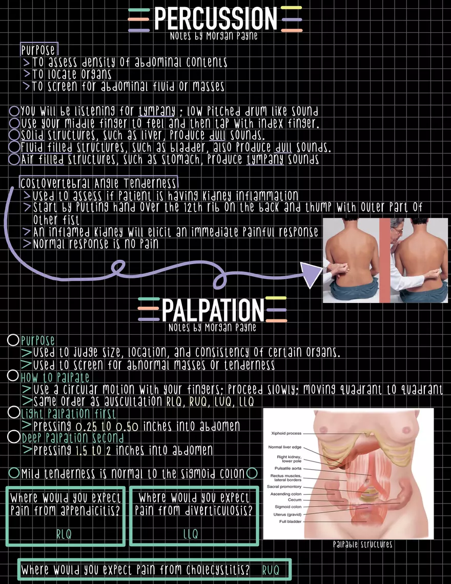 Exam 1 Study Guide HA 2 - Page 15
