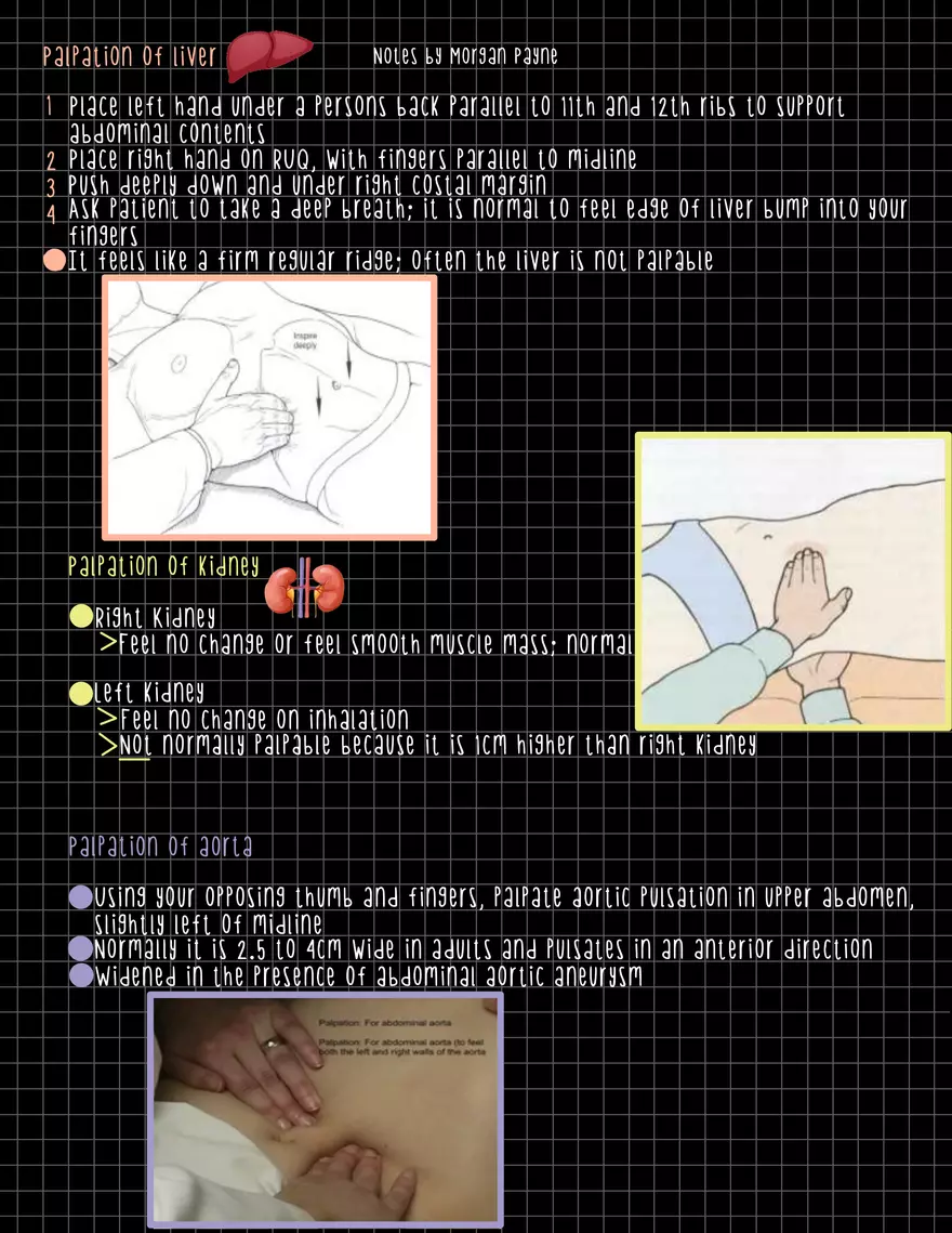 Exam 1 Study Guide HA 2 - Page 16