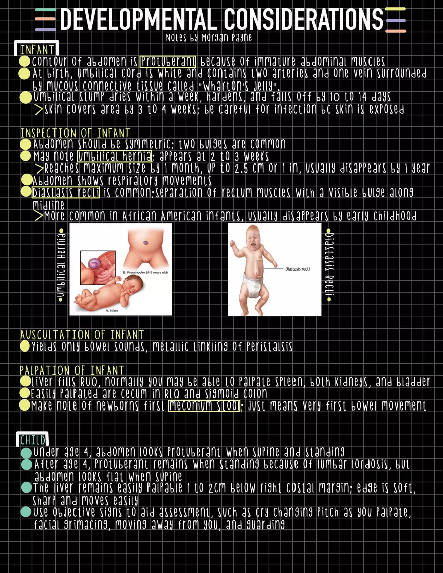 Exam 1 Study Guide HA 2 - Page 17