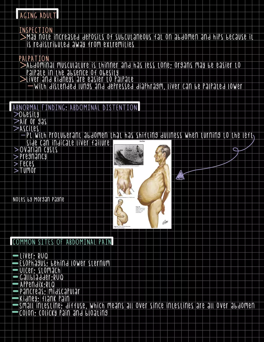 Exam 1 Study Guide HA 2 - Page 18