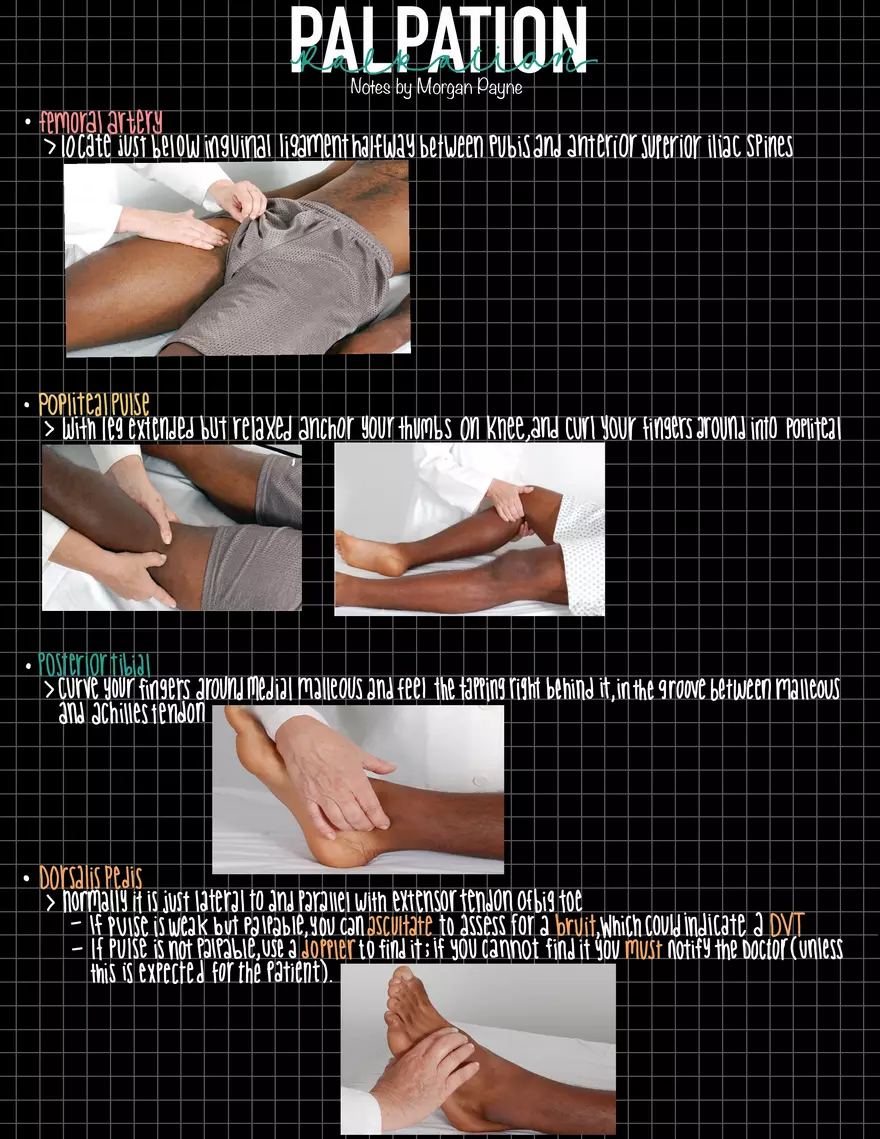 Exam 1 Study Guide HA 2 - Page 6