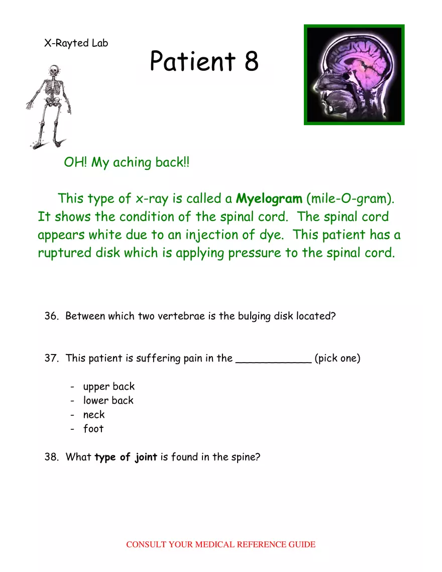 X-Ray Web Lab - Page 7