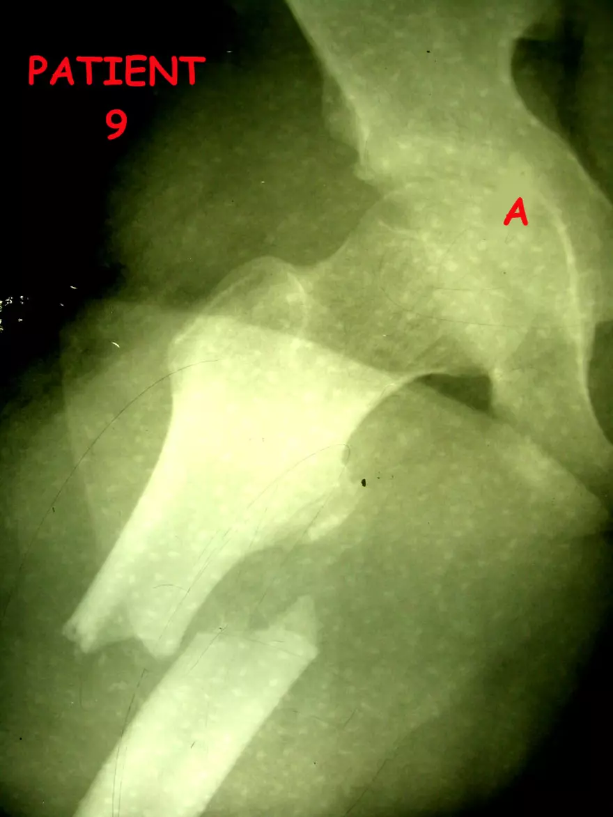 X-Ray Web Lab - Page 10