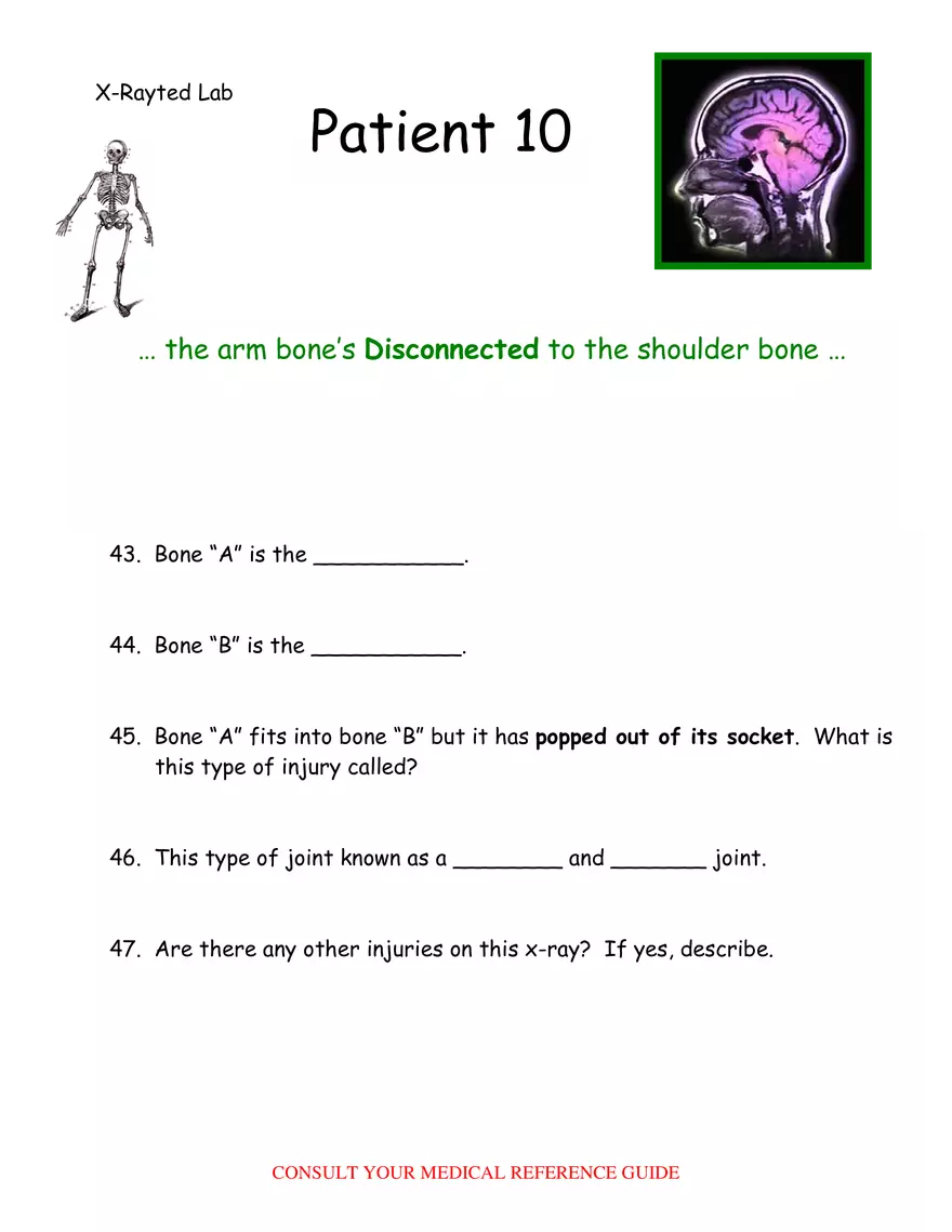 X-Ray Web Lab - Page 11