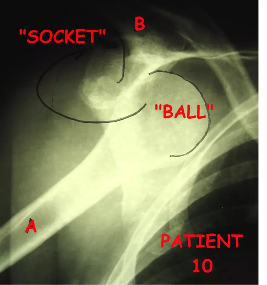 X-Ray Web Lab - Page 12