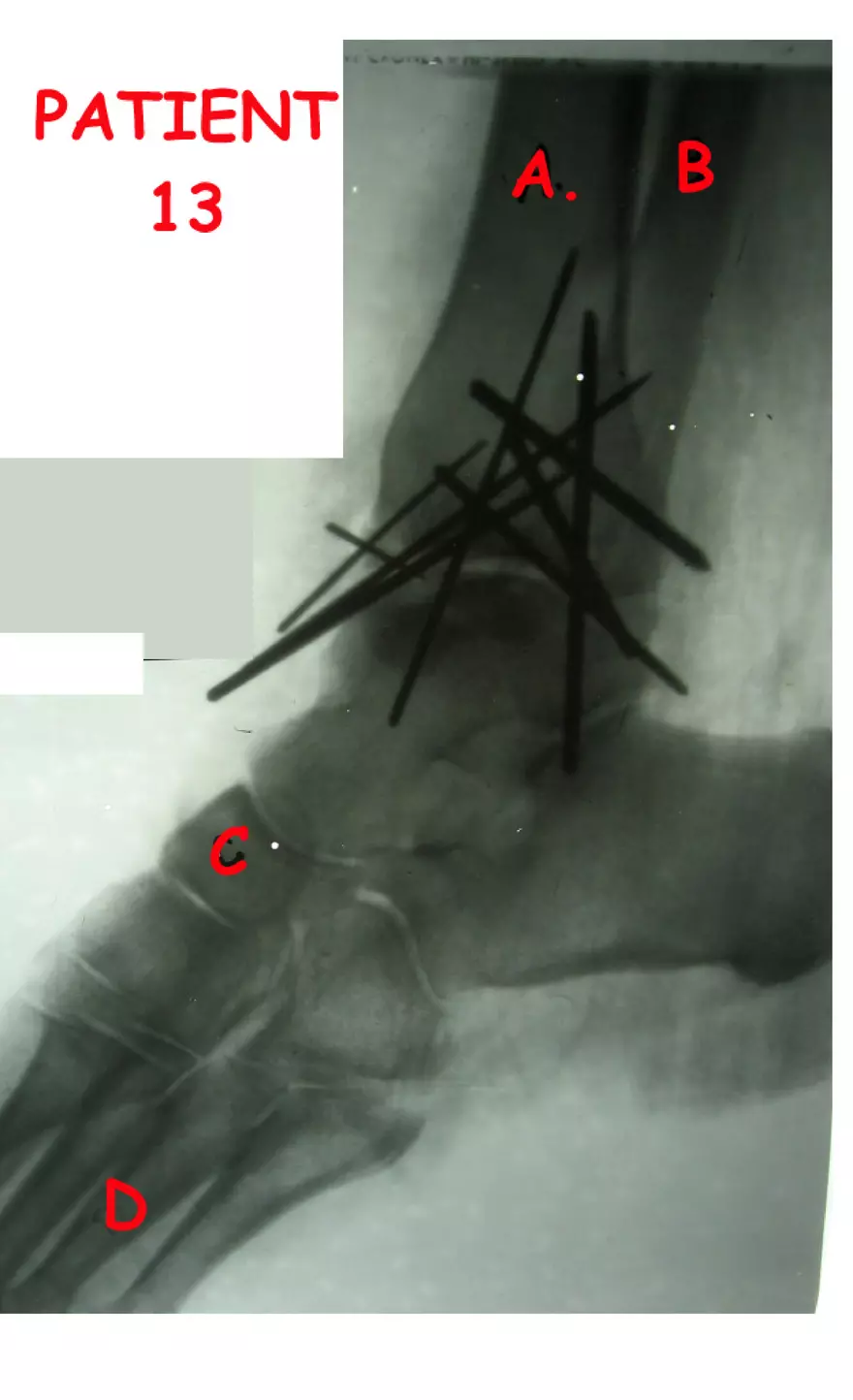 X-Ray Web Lab - Page 19